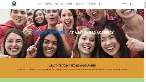 website development for school software in trichy